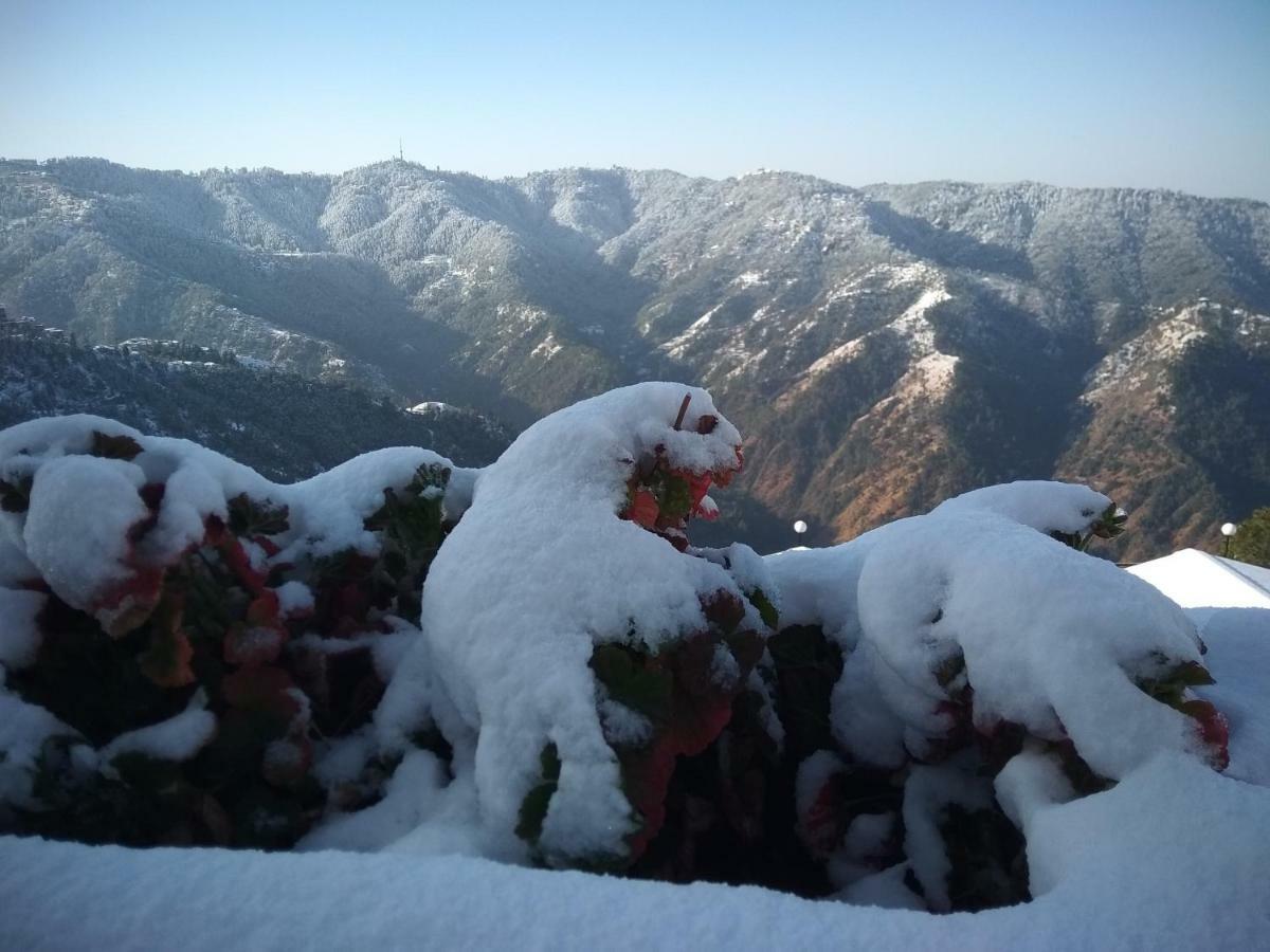 Spangle Heights Shimla, Suites And Residences Bagian luar foto